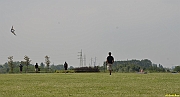 Parco San Giuliano  - 166